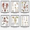Human Tissue Structure Muscle Gym Medical Education Decorative Canvas Painting Poster Wall Art for Home Decor
