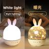 Romantic Bunny Starry Sky Night Light With Bluetooth And Sleep Timer For Children Bedroom Decor