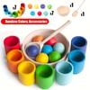 Wooden Classification Game Set, Rainbow Ball and Cup Color Classification Game, Fine Action Learning Toy, Puzzle Education Toy, Sensory Toy