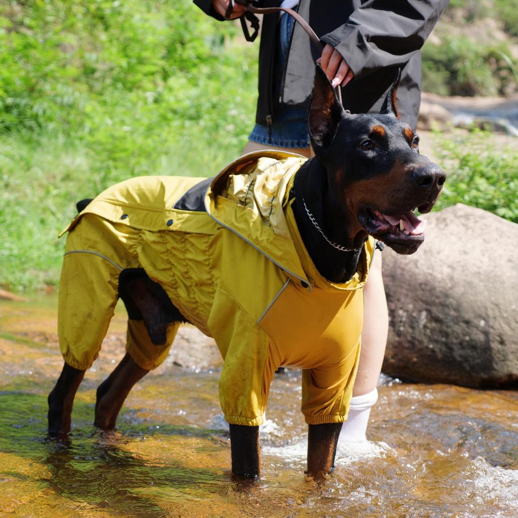 Waterproof dog raincoat with removable hood Outdoor full-body dog jacket Windproof and snow-proof all-season jacket