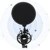 Condenser Microphone Mic Professional Pop Filter Shock Mount Stand Kit