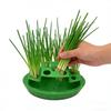 Hydroponic Scallion Planter Countertop Plant Propagation Station Scallion Regrow Planter with 9 Holes Easy Kitchen Regrowing for Fresh Scallions