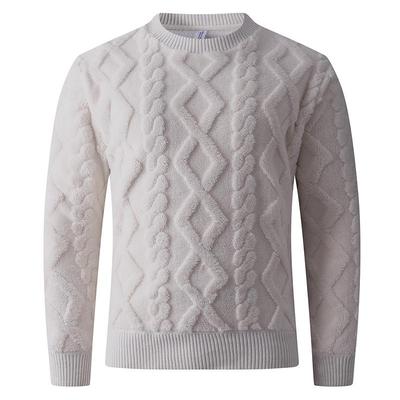 Men's Cable Knit Anti-pilling Round Neck Pullover Sweater - Autumn/Winter Collection