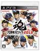Professional Baseball Spirits 2013