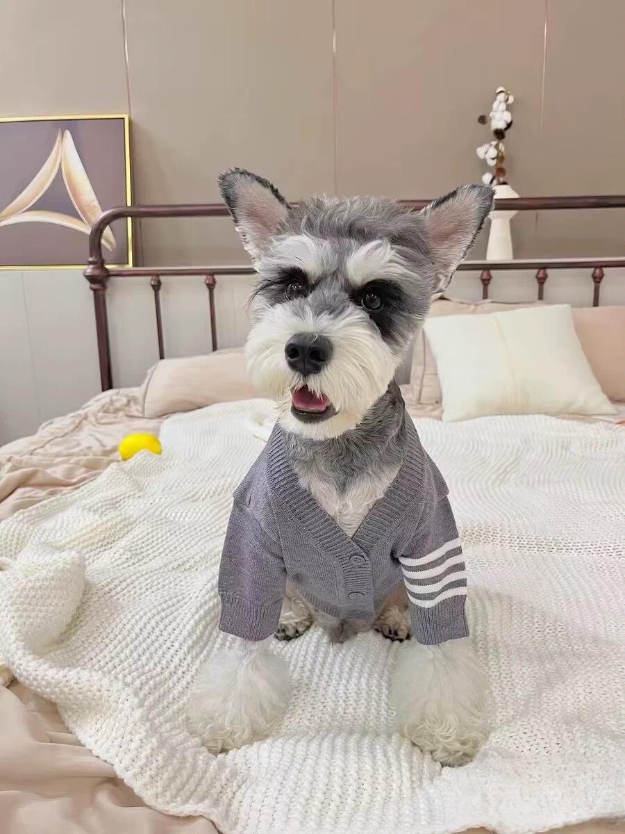 

Autumn Winter Sweater for Dogs & Cats - Fits Small/Mid Breeds like Bichon, Schnauzer, French Bulldog L (8-10 lbs)