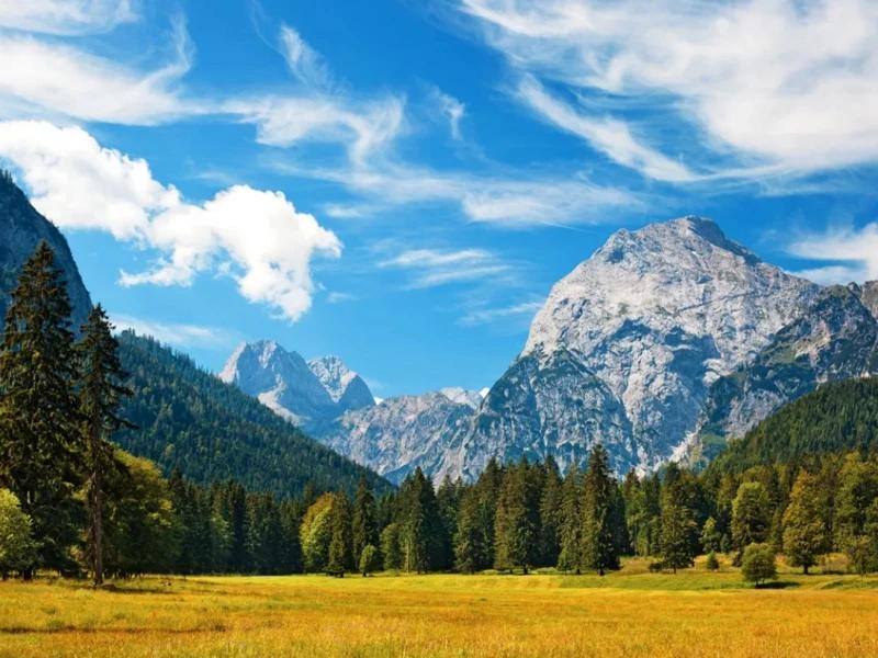 Nature Landscape Backdrop Spring Blue Sky