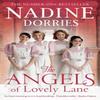 The Angels of Lovely Lane by Nadine Dorries Paperback Book 9781784082246