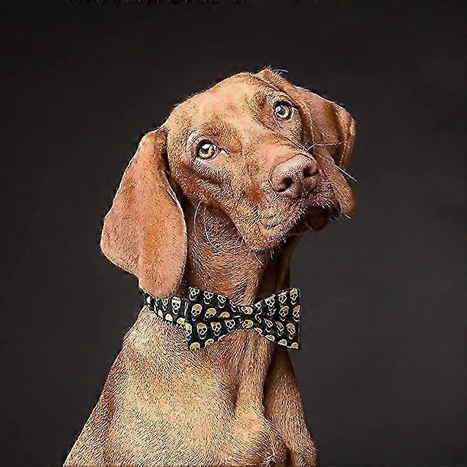 Lustige Totenkopf Fliege Hundehalsband Verstellbar für Halloween, Hundeparty, Haustier Fotoshooting