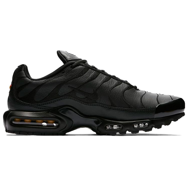 Nike Air Max Plus Men Triple Black AJ2029-001