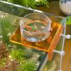 Plastic Fish Tank Feeder Fixed Point Feeding Feed Holder  Saltwater Marine Tank