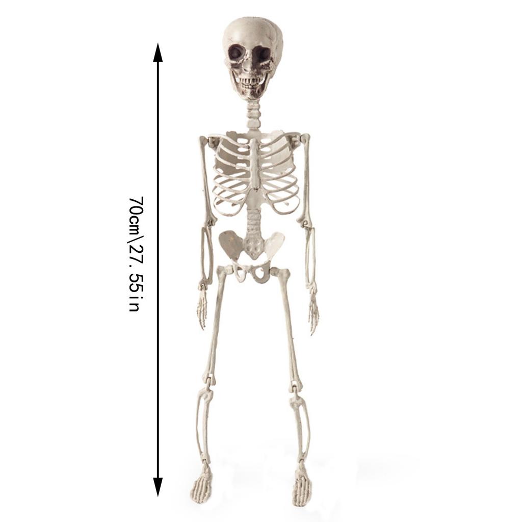 70cm Halloween Skeletons Fake Full Body Skull Bones Movable Halloween Party Decor For Home Bar Haunted House Horror Props