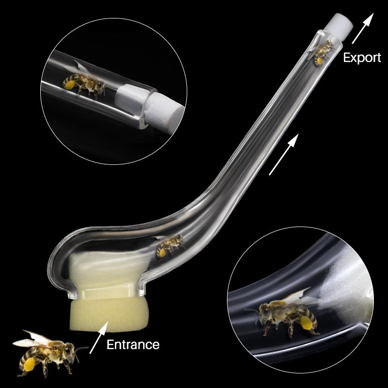 2 STK Biehold Dronningbie Fanger Fange Dronningbur Enhet Fange Dronning Apicultura Oppdrettssystem Bieutstyr