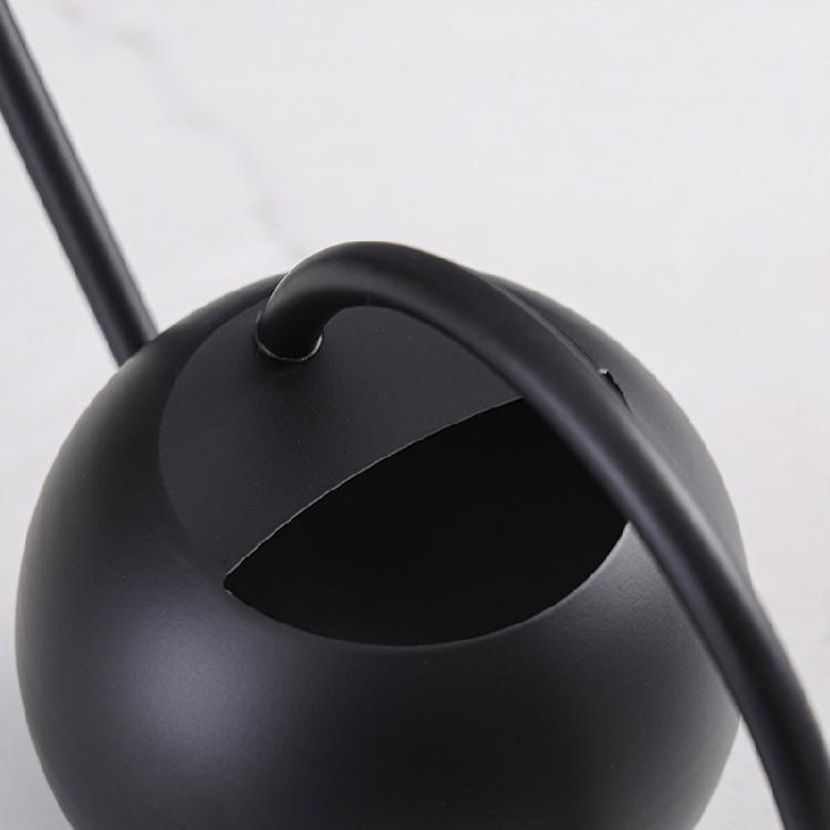 Watering Can Small Watering Can for Indoor Plant Stainless Steel Indoor Watering Can with Long Spout 35oz/400ml