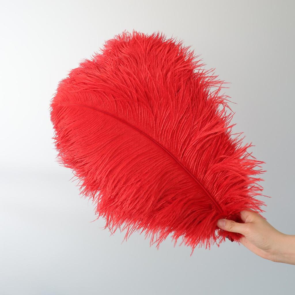 15-75cm Red Ostrich Feathers for Wedding Aisle Centerpieces, Table Decorations, Wall Art, Stage Props