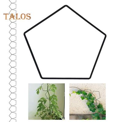 Chain Trellis Popínavé rostliny Pětiúhelníkový prstenec Rostlina Podpěrná sada pro vinnou révu Nerezová ocel zahradní nástěnná dekorace pro vinnou révu Pothos