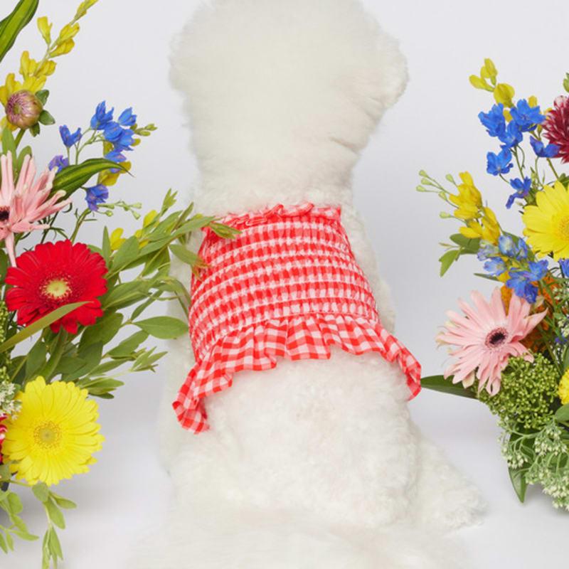 SALTYHEARTY Hello Crop Blouse New Check RED