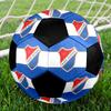 SIZE 5 FC Baník Ostrava Soccer Ball Colorful All Ages Machine Stitched PVC Competition Ready Durable High-Bounce