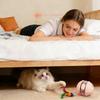 Automatic Cats Toy Ball: Interactive Electric Feather Mouse Toy For Indoor Cats - Self-Entertaining Pet Toy To Burn Energy &  Boredom