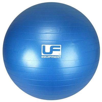 Urban Fitness Equipment Schweizer Ball