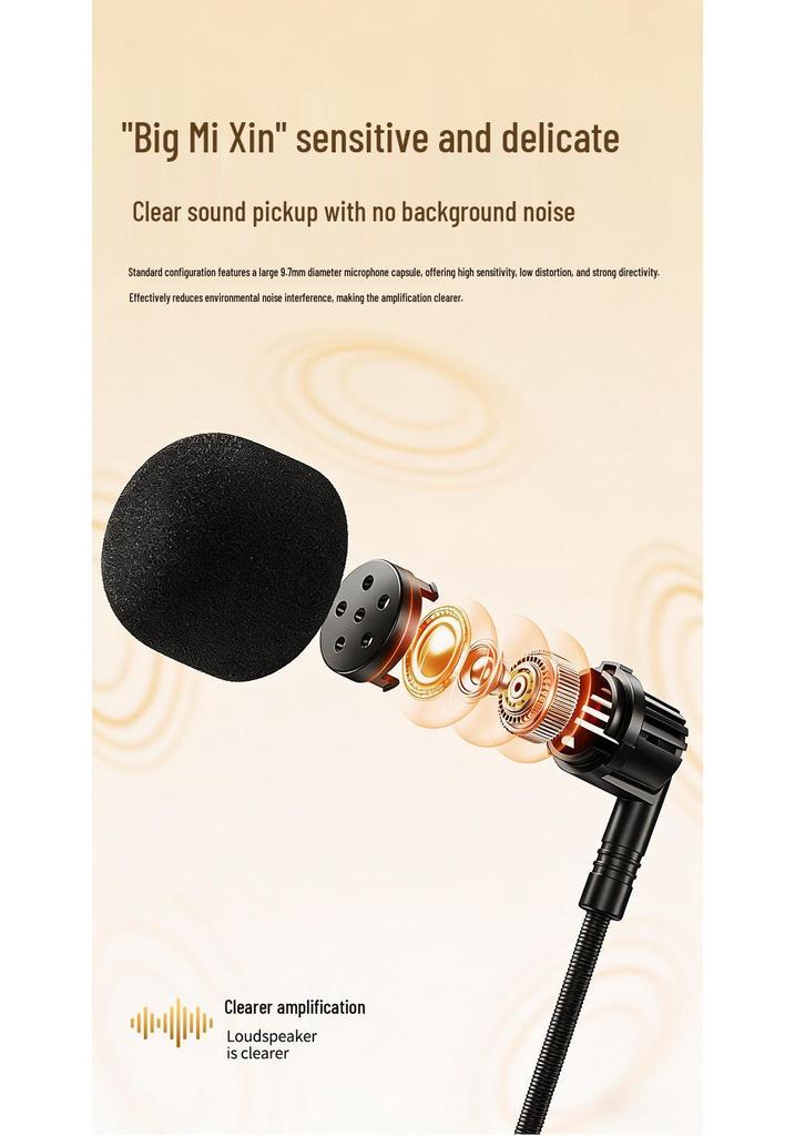 Bee-shaped Wireless Microphone & Bluetooth Megaphone with Extended Battery for Teachers