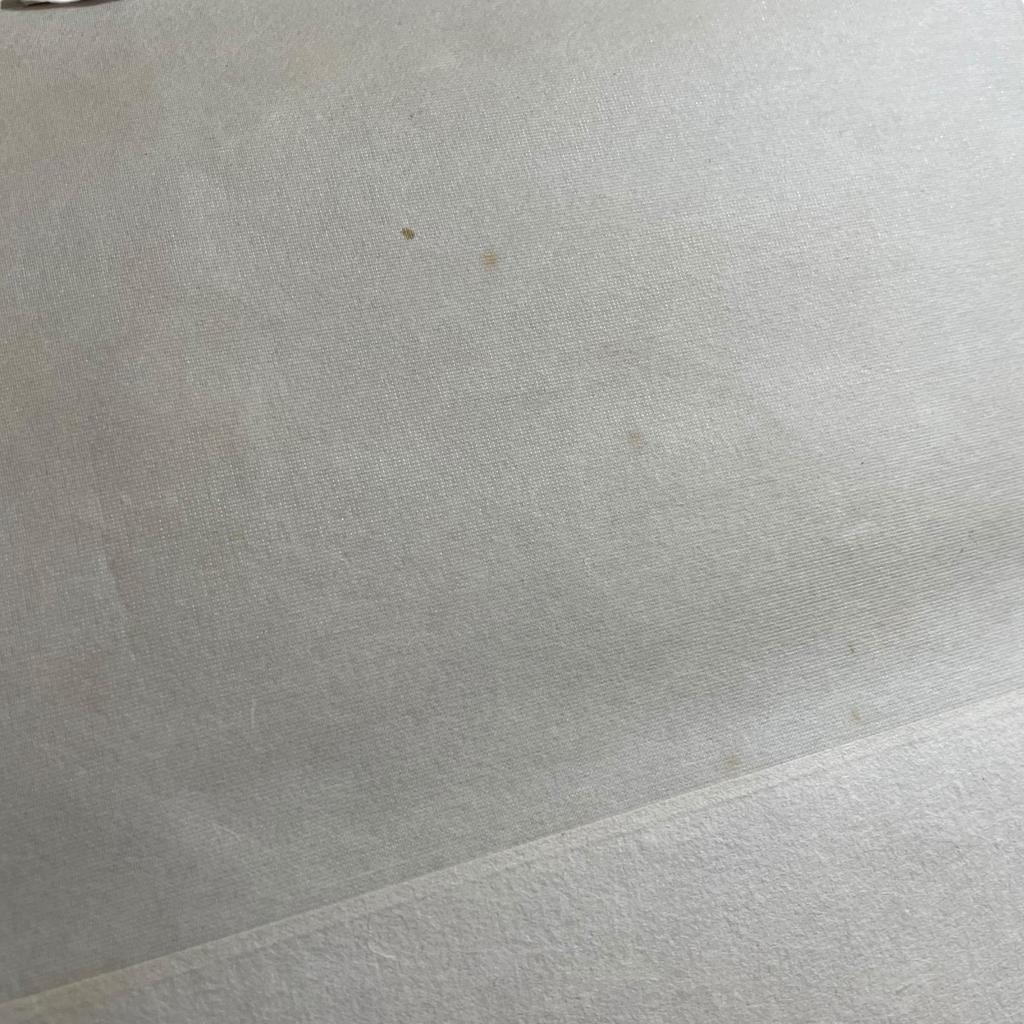 Używany Obraz unisex