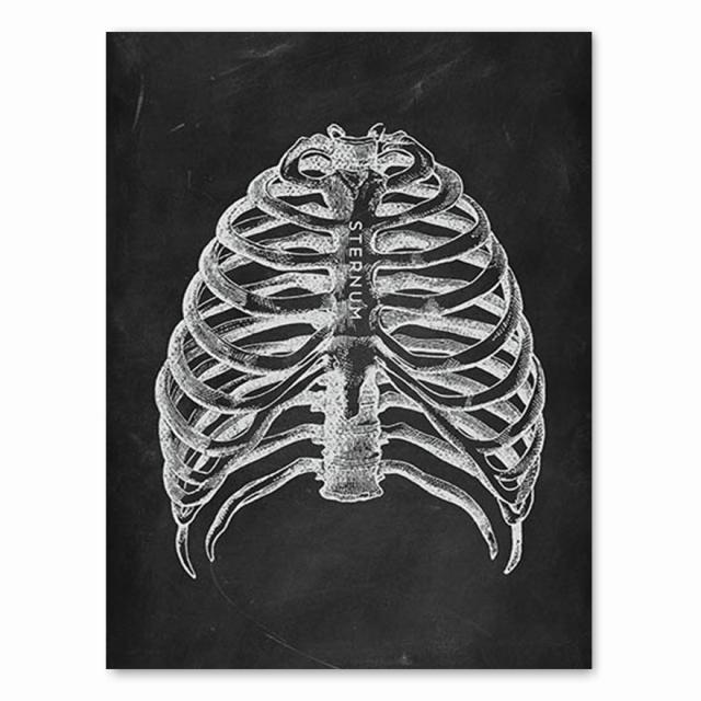 

Анатомия человека, художественная работа, медицинская клиника, настенная картина, скелет, орган, мышечная система, винтажный холст с принтом, плакат для обучения телу, без рамки 30*40cm