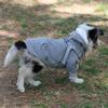 Giyim ve ayakkabı – Köpekler İçin Kapşonlu Kazaklar