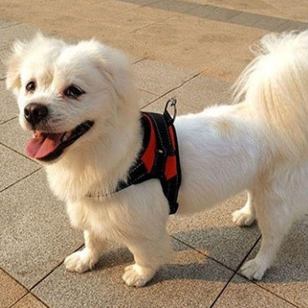 Durable Nylon Dog Cat Harness Adjustable Breathable Dog Harness Vest Heavy Duty Wear-resistant Pet Vest Outdoor