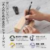 PENTEL Mechanical Pencil Refill AMAIN Set, Sharp, 1.3mm, Black, XAM13ST-AH1