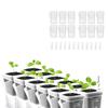 Clear Dual Layers Semi-transparent Self Watering Pots Semi-transparent Design Monitor Root Growth Side Refill Opening