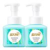 Blue Moon Fresh Fruit Mint Foaming Hand Wash