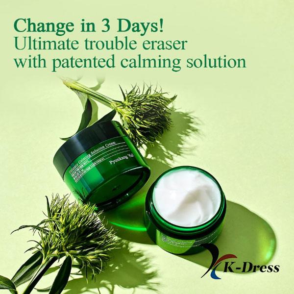 Pyunkang Yul Ultimate Calming Solution Cream 30ml