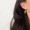 Elegant 18K Gold Plated Titanium Steel Rose & Little Prince 3D Flower Earrings (Non-Fading)