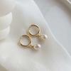 Fashion Light Luxury Niche Earrings