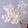 Moisturizing Phalaenopsis Branch 80 CM Real Touch Orchids Vase Decor Fake Flower  Hotel