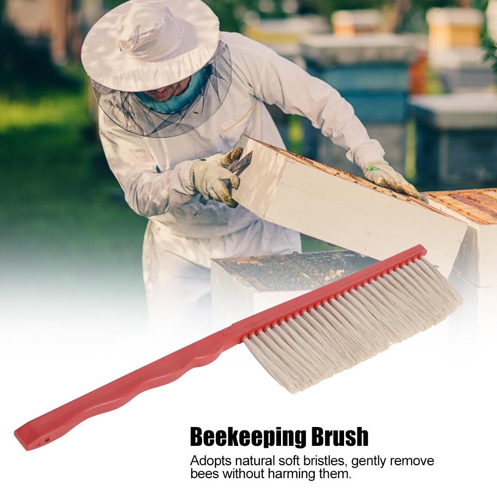Einreihige Bienenstock-Bienenbürste Imkerei-Reinigungswerkzeug mit Kunststoffgriff für Bienenstock