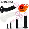 Realistic G-Spot Jelly Dildo Silicone Penis with Suction Cup Butt Plug Anal Toys Sex Toys for Women Female Masturbation Pussy