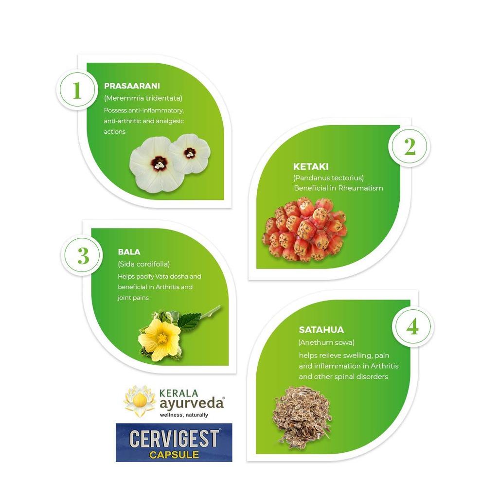 Kerala Ayurveda Cervigest Capsule 100 Count for Neck Shoulder Back Pain Muscle Relief