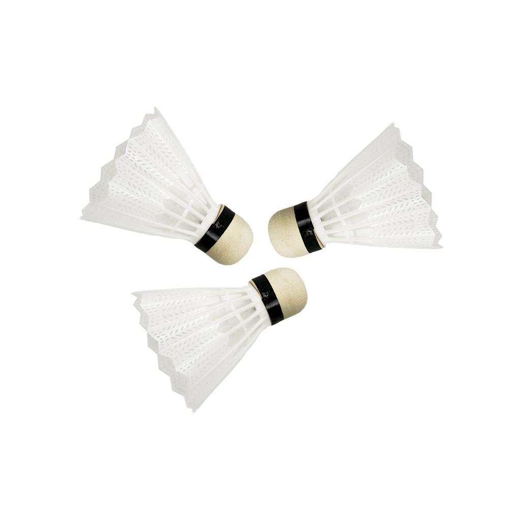 MASTER Fly 2 badminton set
