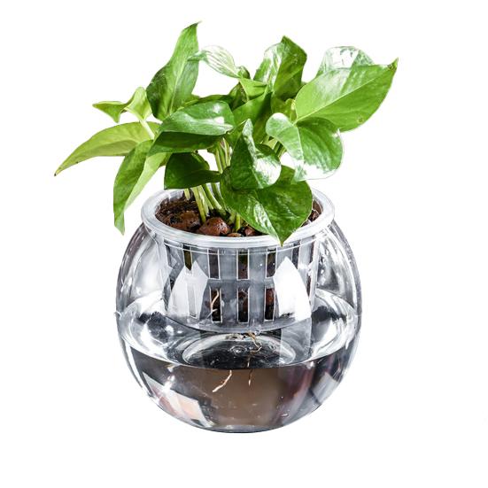 Aquaponik Betta Fischtank Transparenter Kunststoff Bruchfester Pflanzbehälter Ökosystem Aquarium Schreibtisch Aquaponik System für Betta Fisch Zimmerpflanzen