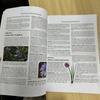 The Lost Book Of Herbal Ii Protocols For Common Ailments Book English Paperback Colored Inner Pages