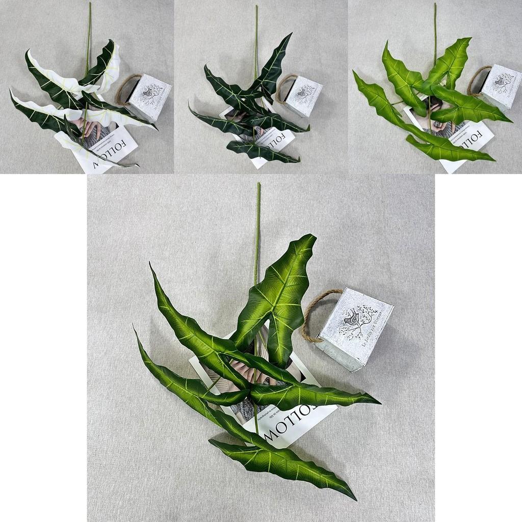 Alocasia Odora Plastik Grünpflanze mit lebhaften Blattfarben für Hochzeitsveranstaltungen und Heimgebrauch