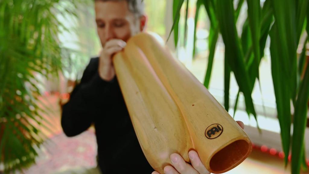 MEINL Sonic Energy Collection Didgeridoo Z-Shaped Pro TuningD DDPROFZD