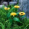 Solar Powered Night Lights Waterproof Atmosphere Lamp LED Solar Sunflower Lights  Outdoor
