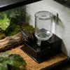 Bearded Dragon Water Fountain Reptile Automatic Dish Tortoise Water Dish Gecko Drink Dispenser for Lizard Chameleon Snake Frog