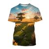 3D Printed Landscape T-shirt Chinese Art Painting T Shirt For Men Fashion Round Neck Short-sleeved Oversized Summer Tees Tops