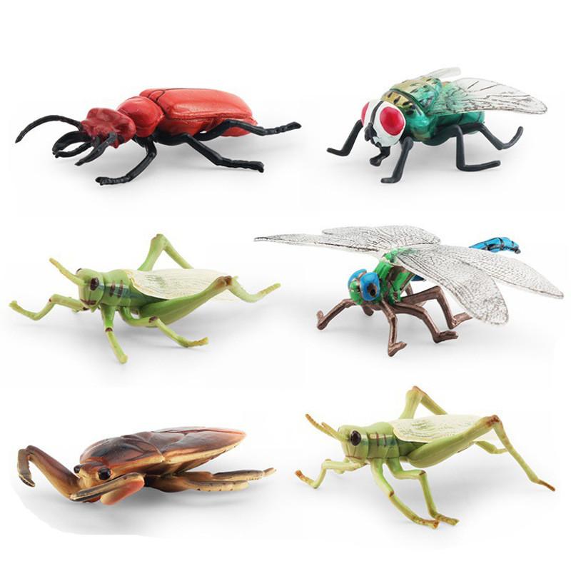 Eğitimsel Gösterim ve Koleksiyon İçin Gerçekçi Tasarımlı Detaylı Statik Böcek Modelleri