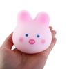 Mochi Squeeze Pinch Toy Pink Sakura Pig Vent Toys Cherry Blossom Pig  Party Favors