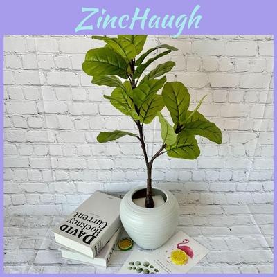 Potted Green Plant Bonsai With White Edges For Home Decor And Photography Props