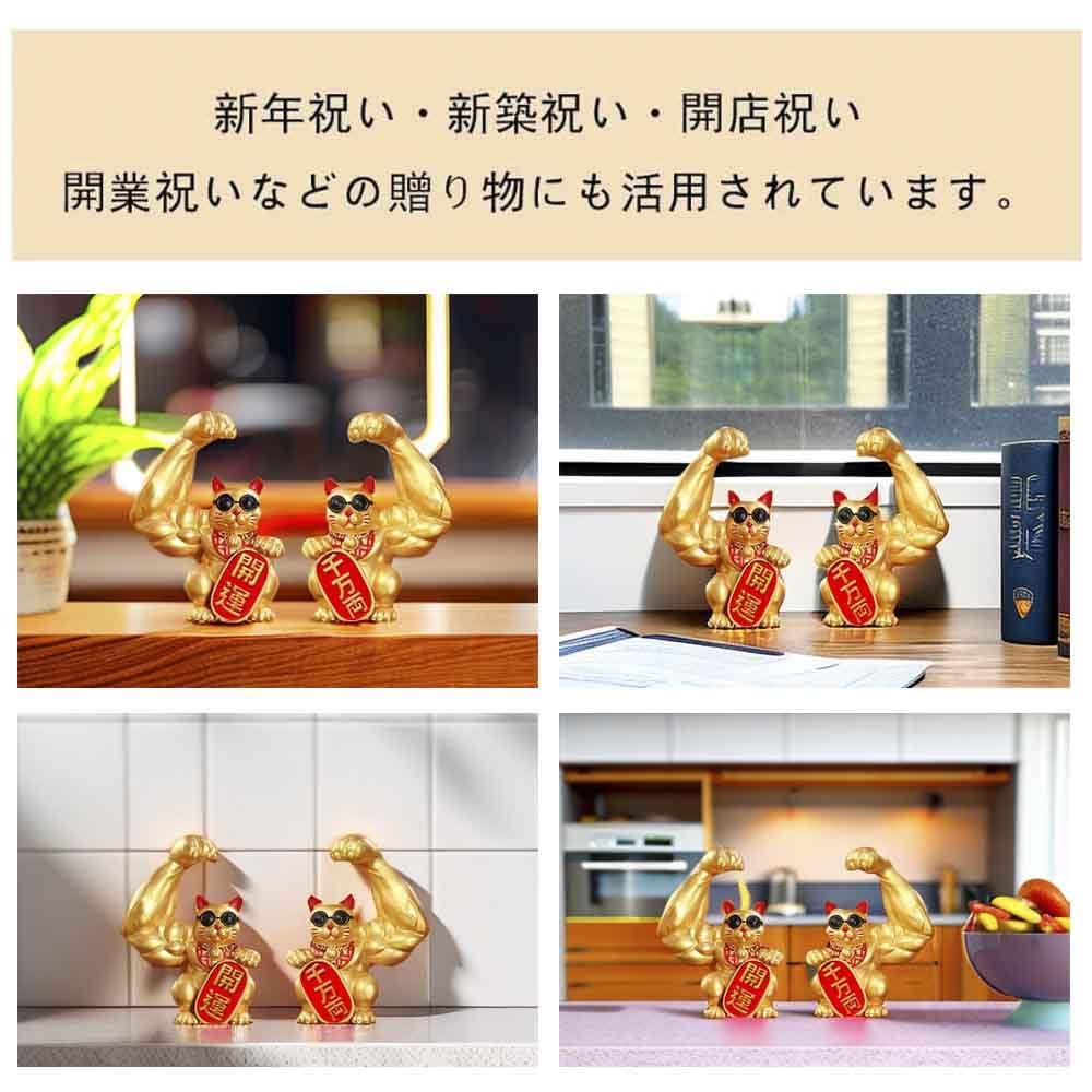 Good and Mini Perfect for and Feng this popular lucky cat ornament brings good fortune and making it a popular gift for any home or A popular gift for